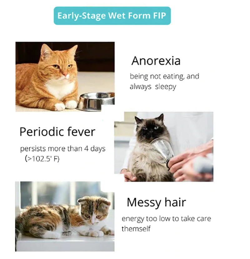 FIP Treatment Injection 20mg/ml 5.5ml ph1.8（Reservation required，Gs441524 Liquid Formula Supplement for feline infectious peritonitis(FIP & FIPV)）