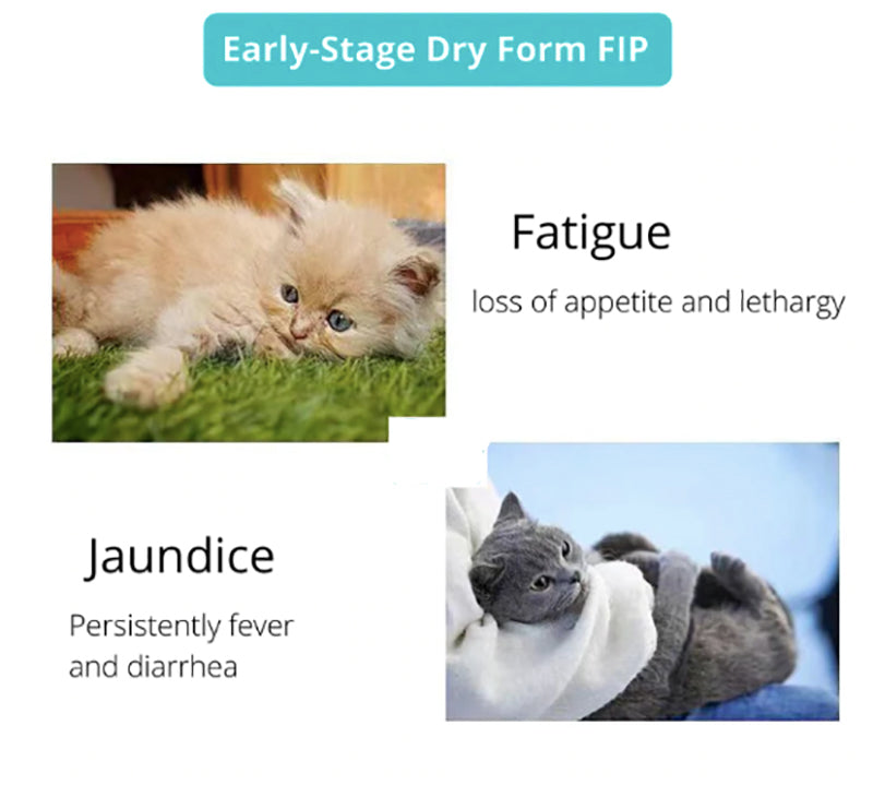 FIP Treatment Injection 20mg/ml 5.5ml ph1.8（Reservation required，Gs441524 Liquid Formula Supplement for feline infectious peritonitis(FIP & FIPV)）